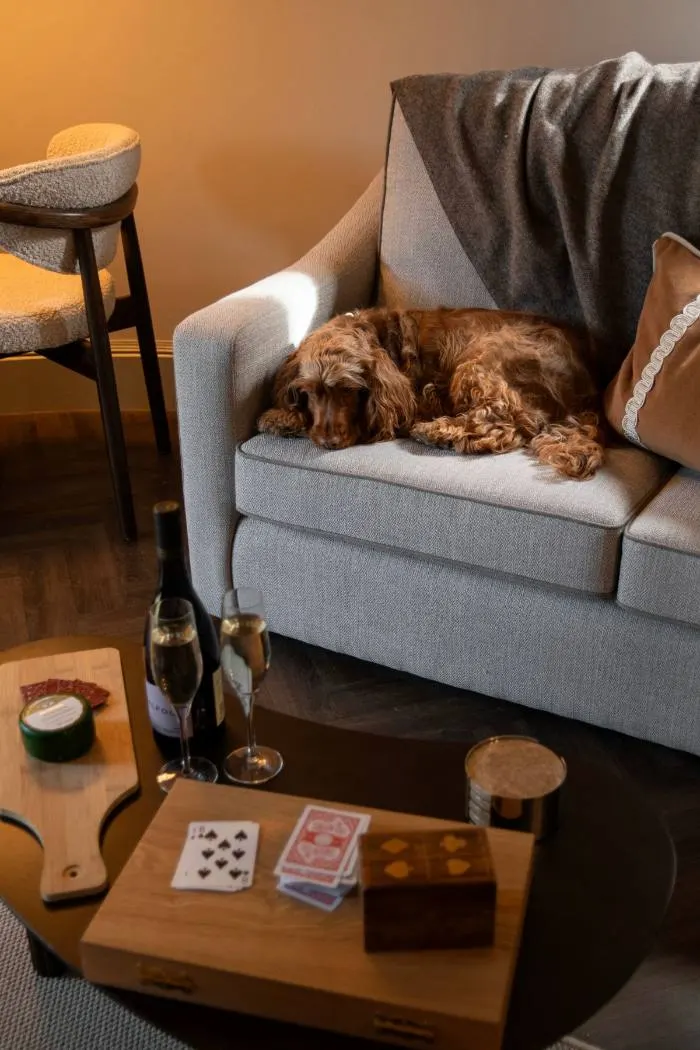 A cocker spaniel asleep on the sofa in a Hyllside Suite at the Aysgarth Falls Hotel