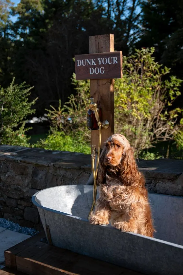 A cocker spaniel sitting by the Dunk Your Dog wash tub outside the Aysgarth Falls Hotel