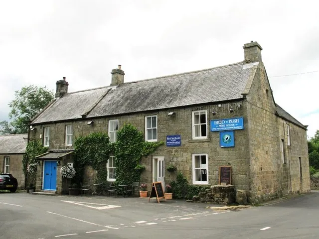 Bird in Bush, Elsdon