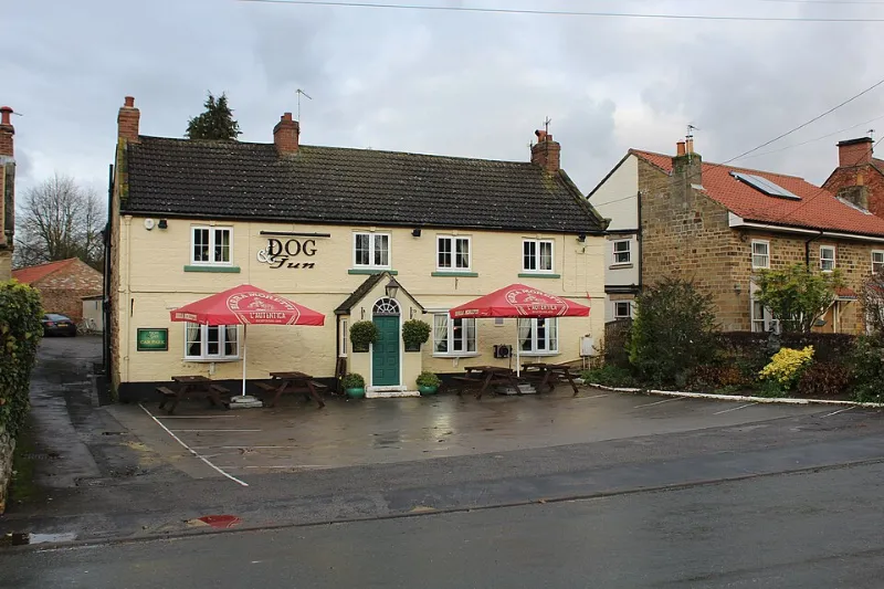 Dog and Gun, Knayton