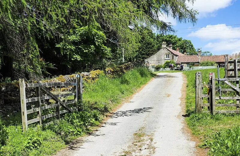 High Paradise Farm