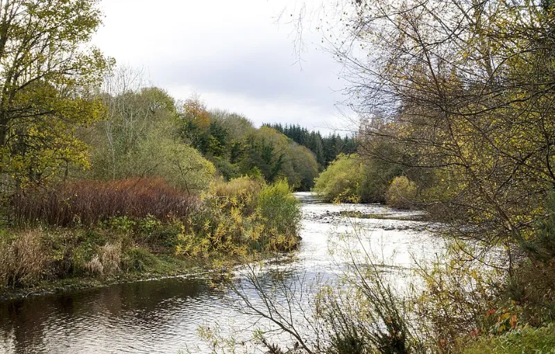 River Wear passing Low Barns Nature Reserve