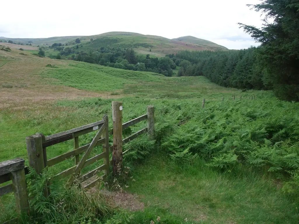 Rolling green hills looking north-west towards the Cheviots