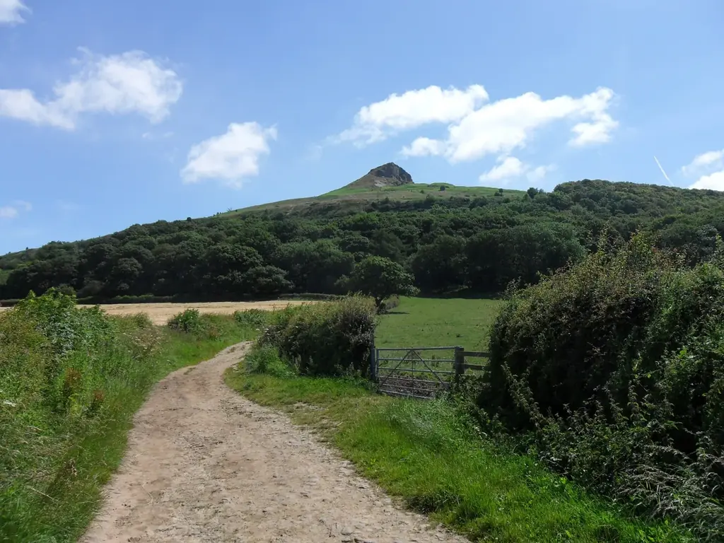 A track leading towards Roseberry Topping