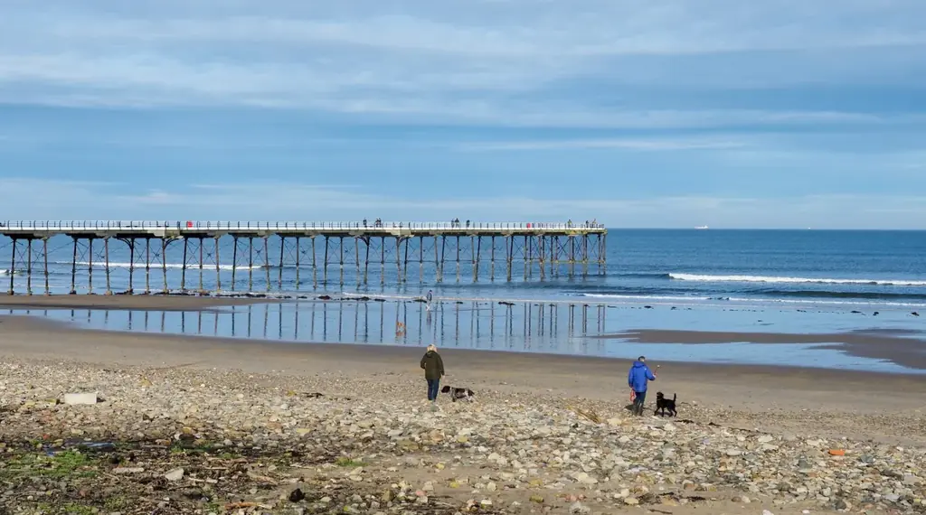 Dog walkers on Saltburn Sands with the pier behind