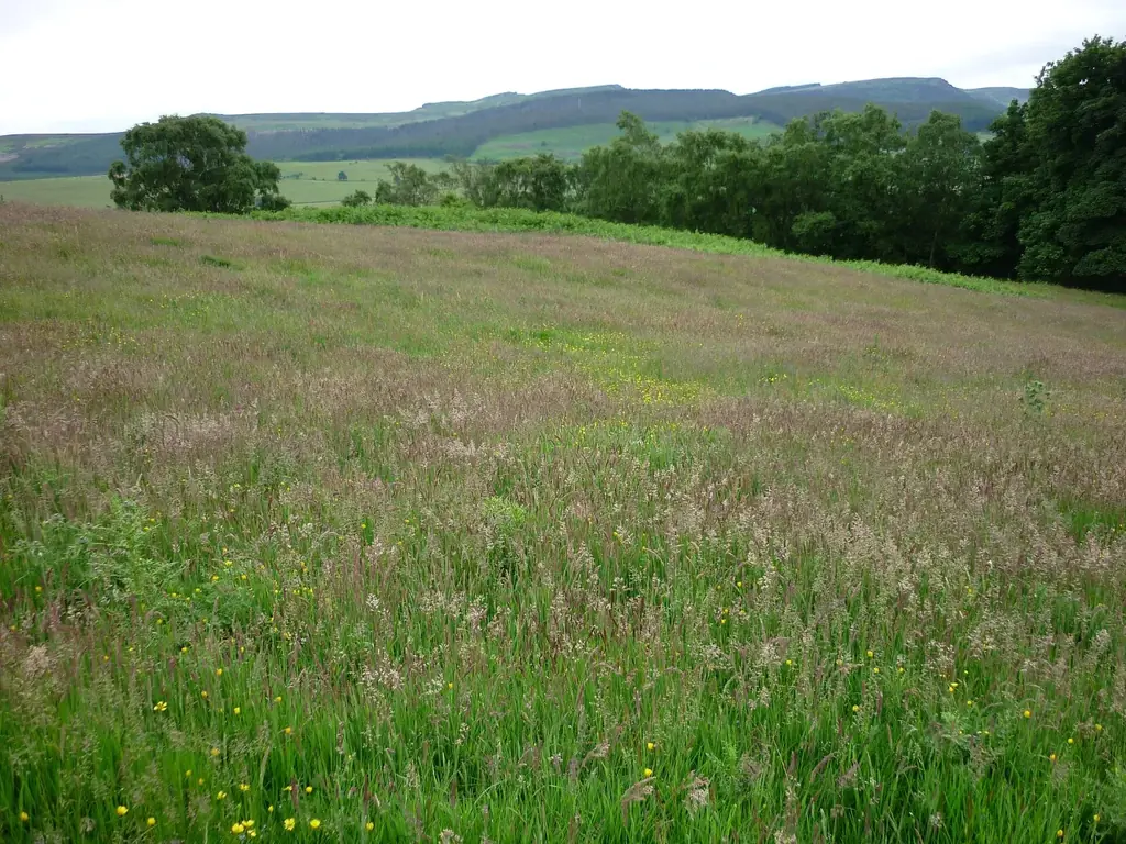 The Simonside Hills above Coquetdale near Rothbury