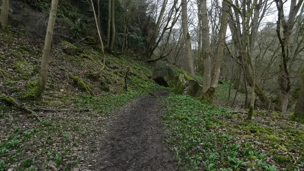 The Teesdale Way footpath near Cotherstone