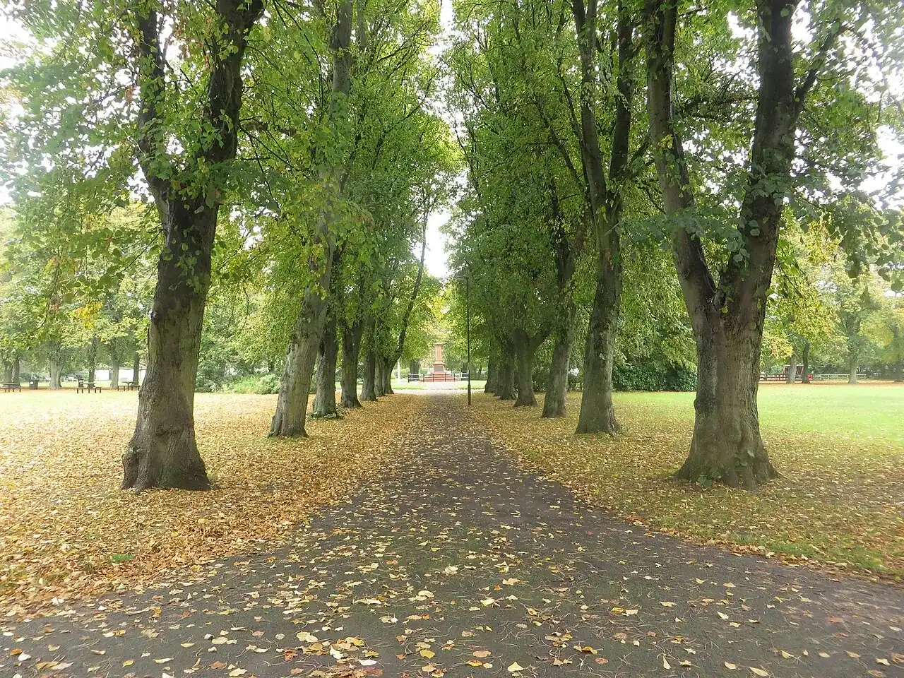 A tree-lined path covered in fallen leaves in Gosforth Central Park