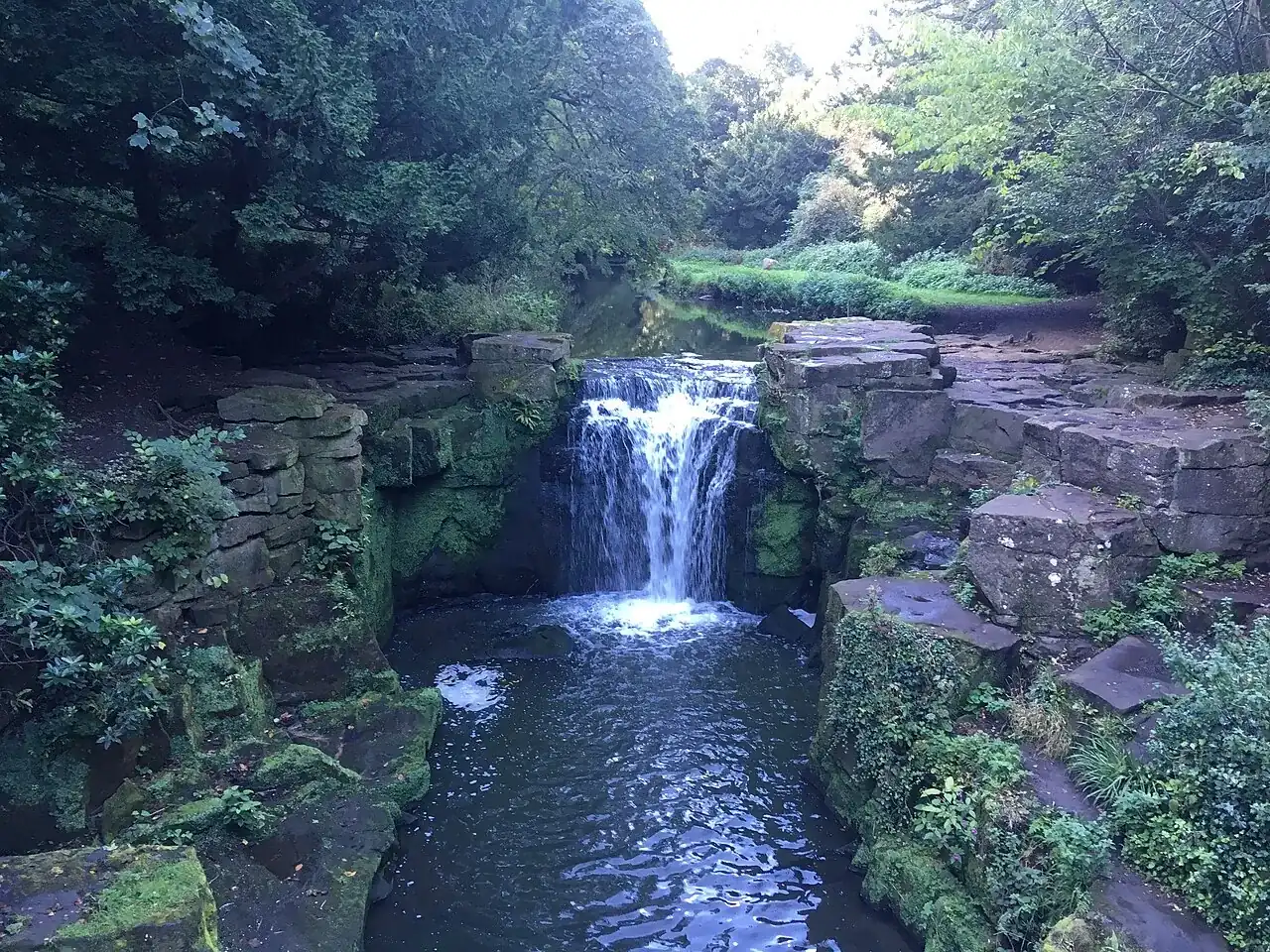 The waterfall in Jesmond Dene tumbling between mossy rocks under trees