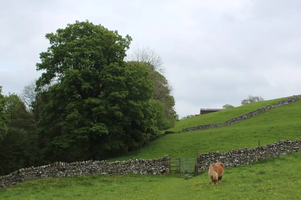 The Weardale Way footpath near Westgate in the upper Wear valley
