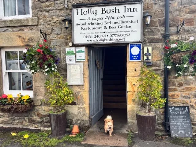 A small dog at the door of the Holly Bush Inn, Greenhaugh, a stone pub with hanging baskets and its sign above the door
